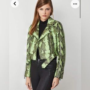 BCBGMAXAZRIA Rare Melanie Python Moto Jacket